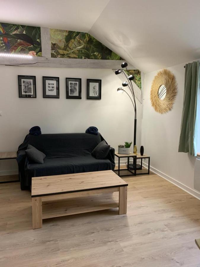 Blue Jungle Apartman Bourges Kültér fotó