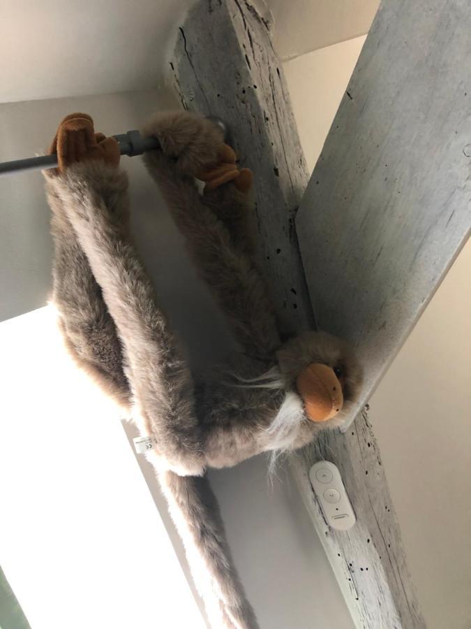 Blue Jungle Apartman Bourges Kültér fotó